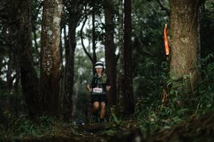 BIB: 3925
                            <button type="button" onclick="openModal(22517190)" class="btn btn-primary btn-sm float-right btn-popup" data-toggle="modal" data-target=".modal-high-quality">
                        <i class="fas fa-shopping-cart"></i> Add to Cart
                    </button>
                                            <button type="button" onclick="isThisMe(22517190, true)" class="btn btn-success btn-sm float-right btn-popup btn-isme hidden" data-toggle="tooltip" data-placement="bottom" title="นี่คือรูปของคุณใช่ไหม คลิกที่นี่เพื่อเอาเข้าอัลบั้ม">
                        <i class="fas fa-plus"></i> Add to album
                    </button>
                    <button type="button" onclick="isThisMe(22517190, false)" class="btn btn-warning btn-sm float-right btn-popup btn-isnotme hidden">
                        <i class="fas fa-ban"></i> Remove from album
                    </button>