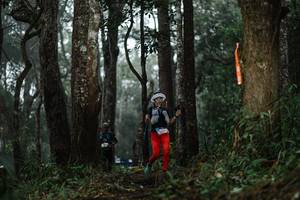 BIB: 
                            <button type="button" onclick="openModal(22519943)" class="btn btn-primary btn-sm float-right btn-popup" data-toggle="modal" data-target=".modal-high-quality">
                        <i class="fas fa-shopping-cart"></i> Add to Cart
                    </button>
                                            <button type="button" onclick="isThisMe(22519943, true)" class="btn btn-success btn-sm float-right btn-popup btn-isme hidden" data-toggle="tooltip" data-placement="bottom" title="นี่คือรูปของคุณใช่ไหม คลิกที่นี่เพื่อเอาเข้าอัลบั้ม">
                        <i class="fas fa-plus"></i> Add to album
                    </button>
                    <button type="button" onclick="isThisMe(22519943, false)" class="btn btn-warning btn-sm float-right btn-popup btn-isnotme hidden">
                        <i class="fas fa-ban"></i> Remove from album
                    </button>