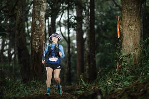 BIB: 
                            <button type="button" onclick="openModal(22518088)" class="btn btn-primary btn-sm float-right btn-popup" data-toggle="modal" data-target=".modal-high-quality">
                        <i class="fas fa-shopping-cart"></i> Add to Cart
                    </button>
                                            <button type="button" onclick="isThisMe(22518088, true)" class="btn btn-success btn-sm float-right btn-popup btn-isme hidden" data-toggle="tooltip" data-placement="bottom" title="นี่คือรูปของคุณใช่ไหม คลิกที่นี่เพื่อเอาเข้าอัลบั้ม">
                        <i class="fas fa-plus"></i> Add to album
                    </button>
                    <button type="button" onclick="isThisMe(22518088, false)" class="btn btn-warning btn-sm float-right btn-popup btn-isnotme hidden">
                        <i class="fas fa-ban"></i> Remove from album
                    </button>