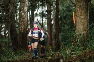 BIB: 5706
                            <button type="button" onclick="openModal(22516668)" class="btn btn-primary btn-sm float-right btn-popup" data-toggle="modal" data-target=".modal-high-quality">
                        <i class="fas fa-shopping-cart"></i> Add to Cart
                    </button>
                                            <button type="button" onclick="isThisMe(22516668, true)" class="btn btn-success btn-sm float-right btn-popup btn-isme hidden" data-toggle="tooltip" data-placement="bottom" title="นี่คือรูปของคุณใช่ไหม คลิกที่นี่เพื่อเอาเข้าอัลบั้ม">
                        <i class="fas fa-plus"></i> Add to album
                    </button>
                    <button type="button" onclick="isThisMe(22516668, false)" class="btn btn-warning btn-sm float-right btn-popup btn-isnotme hidden">
                        <i class="fas fa-ban"></i> Remove from album
                    </button>