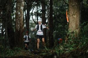 BIB: 
                            <button type="button" onclick="openModal(22517893)" class="btn btn-primary btn-sm float-right btn-popup" data-toggle="modal" data-target=".modal-high-quality">
                        <i class="fas fa-shopping-cart"></i> Add to Cart
                    </button>
                                            <button type="button" onclick="isThisMe(22517893, true)" class="btn btn-success btn-sm float-right btn-popup btn-isme hidden" data-toggle="tooltip" data-placement="bottom" title="นี่คือรูปของคุณใช่ไหม คลิกที่นี่เพื่อเอาเข้าอัลบั้ม">
                        <i class="fas fa-plus"></i> Add to album
                    </button>
                    <button type="button" onclick="isThisMe(22517893, false)" class="btn btn-warning btn-sm float-right btn-popup btn-isnotme hidden">
                        <i class="fas fa-ban"></i> Remove from album
                    </button>