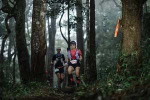 BIB: 
                            <button type="button" onclick="openModal(22519288)" class="btn btn-primary btn-sm float-right btn-popup" data-toggle="modal" data-target=".modal-high-quality">
                        <i class="fas fa-shopping-cart"></i> Add to Cart
                    </button>
                                            <button type="button" onclick="isThisMe(22519288, true)" class="btn btn-success btn-sm float-right btn-popup btn-isme hidden" data-toggle="tooltip" data-placement="bottom" title="นี่คือรูปของคุณใช่ไหม คลิกที่นี่เพื่อเอาเข้าอัลบั้ม">
                        <i class="fas fa-plus"></i> Add to album
                    </button>
                    <button type="button" onclick="isThisMe(22519288, false)" class="btn btn-warning btn-sm float-right btn-popup btn-isnotme hidden">
                        <i class="fas fa-ban"></i> Remove from album
                    </button>