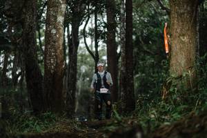 BIB: 6185
                            <button type="button" onclick="openModal(22517142)" class="btn btn-primary btn-sm float-right btn-popup" data-toggle="modal" data-target=".modal-high-quality">
                        <i class="fas fa-shopping-cart"></i> Add to Cart
                    </button>
                                            <button type="button" onclick="isThisMe(22517142, true)" class="btn btn-success btn-sm float-right btn-popup btn-isme hidden" data-toggle="tooltip" data-placement="bottom" title="นี่คือรูปของคุณใช่ไหม คลิกที่นี่เพื่อเอาเข้าอัลบั้ม">
                        <i class="fas fa-plus"></i> Add to album
                    </button>
                    <button type="button" onclick="isThisMe(22517142, false)" class="btn btn-warning btn-sm float-right btn-popup btn-isnotme hidden">
                        <i class="fas fa-ban"></i> Remove from album
                    </button>