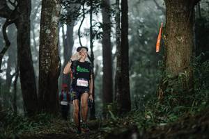 BIB: 5709
                            <button type="button" onclick="openModal(22519172)" class="btn btn-primary btn-sm float-right btn-popup" data-toggle="modal" data-target=".modal-high-quality">
                        <i class="fas fa-shopping-cart"></i> Add to Cart
                    </button>
                                            <button type="button" onclick="isThisMe(22519172, true)" class="btn btn-success btn-sm float-right btn-popup btn-isme hidden" data-toggle="tooltip" data-placement="bottom" title="นี่คือรูปของคุณใช่ไหม คลิกที่นี่เพื่อเอาเข้าอัลบั้ม">
                        <i class="fas fa-plus"></i> Add to album
                    </button>
                    <button type="button" onclick="isThisMe(22519172, false)" class="btn btn-warning btn-sm float-right btn-popup btn-isnotme hidden">
                        <i class="fas fa-ban"></i> Remove from album
                    </button>