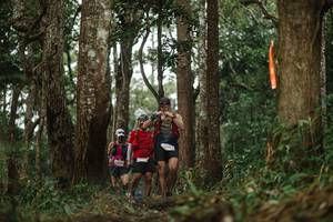 BIB: 
                            <button type="button" onclick="openModal(22516129)" class="btn btn-primary btn-sm float-right btn-popup" data-toggle="modal" data-target=".modal-high-quality">
                        <i class="fas fa-shopping-cart"></i> Add to Cart
                    </button>
                                            <button type="button" onclick="isThisMe(22516129, true)" class="btn btn-success btn-sm float-right btn-popup btn-isme hidden" data-toggle="tooltip" data-placement="bottom" title="นี่คือรูปของคุณใช่ไหม คลิกที่นี่เพื่อเอาเข้าอัลบั้ม">
                        <i class="fas fa-plus"></i> Add to album
                    </button>
                    <button type="button" onclick="isThisMe(22516129, false)" class="btn btn-warning btn-sm float-right btn-popup btn-isnotme hidden">
                        <i class="fas fa-ban"></i> Remove from album
                    </button>