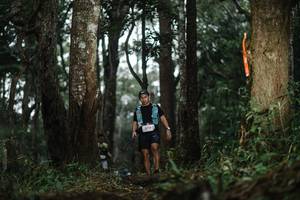 BIB: 
                            <button type="button" onclick="openModal(22517546)" class="btn btn-primary btn-sm float-right btn-popup" data-toggle="modal" data-target=".modal-high-quality">
                        <i class="fas fa-shopping-cart"></i> Add to Cart
                    </button>
                                            <button type="button" onclick="isThisMe(22517546, true)" class="btn btn-success btn-sm float-right btn-popup btn-isme hidden" data-toggle="tooltip" data-placement="bottom" title="นี่คือรูปของคุณใช่ไหม คลิกที่นี่เพื่อเอาเข้าอัลบั้ม">
                        <i class="fas fa-plus"></i> Add to album
                    </button>
                    <button type="button" onclick="isThisMe(22517546, false)" class="btn btn-warning btn-sm float-right btn-popup btn-isnotme hidden">
                        <i class="fas fa-ban"></i> Remove from album
                    </button>