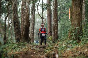 BIB: 
                            <button type="button" onclick="openModal(22521104)" class="btn btn-primary btn-sm float-right btn-popup" data-toggle="modal" data-target=".modal-high-quality">
                        <i class="fas fa-shopping-cart"></i> Add to Cart
                    </button>
                                            <button type="button" onclick="isThisMe(22521104, true)" class="btn btn-success btn-sm float-right btn-popup btn-isme hidden" data-toggle="tooltip" data-placement="bottom" title="นี่คือรูปของคุณใช่ไหม คลิกที่นี่เพื่อเอาเข้าอัลบั้ม">
                        <i class="fas fa-plus"></i> Add to album
                    </button>
                    <button type="button" onclick="isThisMe(22521104, false)" class="btn btn-warning btn-sm float-right btn-popup btn-isnotme hidden">
                        <i class="fas fa-ban"></i> Remove from album
                    </button>