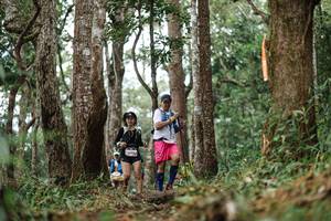 BIB: 
                            <button type="button" onclick="openModal(22522475)" class="btn btn-primary btn-sm float-right btn-popup" data-toggle="modal" data-target=".modal-high-quality">
                        <i class="fas fa-shopping-cart"></i> Add to Cart
                    </button>
                                            <button type="button" onclick="isThisMe(22522475, true)" class="btn btn-success btn-sm float-right btn-popup btn-isme hidden" data-toggle="tooltip" data-placement="bottom" title="นี่คือรูปของคุณใช่ไหม คลิกที่นี่เพื่อเอาเข้าอัลบั้ม">
                        <i class="fas fa-plus"></i> Add to album
                    </button>
                    <button type="button" onclick="isThisMe(22522475, false)" class="btn btn-warning btn-sm float-right btn-popup btn-isnotme hidden">
                        <i class="fas fa-ban"></i> Remove from album
                    </button>