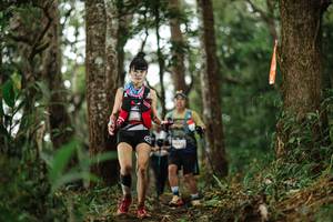 BIB: 
                            <button type="button" onclick="openModal(22525955)" class="btn btn-primary btn-sm float-right btn-popup" data-toggle="modal" data-target=".modal-high-quality">
                        <i class="fas fa-shopping-cart"></i> Add to Cart
                    </button>
                                            <button type="button" onclick="isThisMe(22525955, true)" class="btn btn-success btn-sm float-right btn-popup btn-isme hidden" data-toggle="tooltip" data-placement="bottom" title="นี่คือรูปของคุณใช่ไหม คลิกที่นี่เพื่อเอาเข้าอัลบั้ม">
                        <i class="fas fa-plus"></i> Add to album
                    </button>
                    <button type="button" onclick="isThisMe(22525955, false)" class="btn btn-warning btn-sm float-right btn-popup btn-isnotme hidden">
                        <i class="fas fa-ban"></i> Remove from album
                    </button>