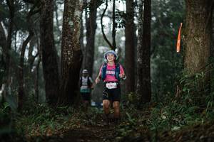 BIB: 5781
                            <button type="button" onclick="openModal(22519732)" class="btn btn-primary btn-sm float-right btn-popup" data-toggle="modal" data-target=".modal-high-quality">
                        <i class="fas fa-shopping-cart"></i> Add to Cart
                    </button>
                                            <button type="button" onclick="isThisMe(22519732, true)" class="btn btn-success btn-sm float-right btn-popup btn-isme hidden" data-toggle="tooltip" data-placement="bottom" title="นี่คือรูปของคุณใช่ไหม คลิกที่นี่เพื่อเอาเข้าอัลบั้ม">
                        <i class="fas fa-plus"></i> Add to album
                    </button>
                    <button type="button" onclick="isThisMe(22519732, false)" class="btn btn-warning btn-sm float-right btn-popup btn-isnotme hidden">
                        <i class="fas fa-ban"></i> Remove from album
                    </button>