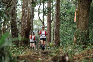 BIB: 
                            <button type="button" onclick="openModal(22523424)" class="btn btn-primary btn-sm float-right btn-popup" data-toggle="modal" data-target=".modal-high-quality">
                        <i class="fas fa-shopping-cart"></i> Add to Cart
                    </button>
                                            <button type="button" onclick="isThisMe(22523424, true)" class="btn btn-success btn-sm float-right btn-popup btn-isme hidden" data-toggle="tooltip" data-placement="bottom" title="นี่คือรูปของคุณใช่ไหม คลิกที่นี่เพื่อเอาเข้าอัลบั้ม">
                        <i class="fas fa-plus"></i> Add to album
                    </button>
                    <button type="button" onclick="isThisMe(22523424, false)" class="btn btn-warning btn-sm float-right btn-popup btn-isnotme hidden">
                        <i class="fas fa-ban"></i> Remove from album
                    </button>