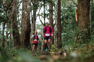 BIB: 105
                            <button type="button" onclick="openModal(22522156)" class="btn btn-primary btn-sm float-right btn-popup" data-toggle="modal" data-target=".modal-high-quality">
                        <i class="fas fa-shopping-cart"></i> Add to Cart
                    </button>
                                            <button type="button" onclick="isThisMe(22522156, true)" class="btn btn-success btn-sm float-right btn-popup btn-isme hidden" data-toggle="tooltip" data-placement="bottom" title="นี่คือรูปของคุณใช่ไหม คลิกที่นี่เพื่อเอาเข้าอัลบั้ม">
                        <i class="fas fa-plus"></i> Add to album
                    </button>
                    <button type="button" onclick="isThisMe(22522156, false)" class="btn btn-warning btn-sm float-right btn-popup btn-isnotme hidden">
                        <i class="fas fa-ban"></i> Remove from album
                    </button>