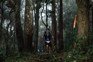 BIB: 
                            <button type="button" onclick="openModal(22519245)" class="btn btn-primary btn-sm float-right btn-popup" data-toggle="modal" data-target=".modal-high-quality">
                        <i class="fas fa-shopping-cart"></i> Add to Cart
                    </button>
                                            <button type="button" onclick="isThisMe(22519245, true)" class="btn btn-success btn-sm float-right btn-popup btn-isme hidden" data-toggle="tooltip" data-placement="bottom" title="นี่คือรูปของคุณใช่ไหม คลิกที่นี่เพื่อเอาเข้าอัลบั้ม">
                        <i class="fas fa-plus"></i> Add to album
                    </button>
                    <button type="button" onclick="isThisMe(22519245, false)" class="btn btn-warning btn-sm float-right btn-popup btn-isnotme hidden">
                        <i class="fas fa-ban"></i> Remove from album
                    </button>