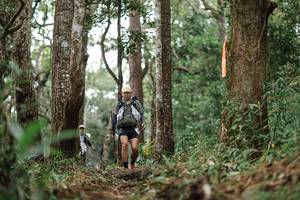 BIB: 
                            <button type="button" onclick="openModal(22522970)" class="btn btn-primary btn-sm float-right btn-popup" data-toggle="modal" data-target=".modal-high-quality">
                        <i class="fas fa-shopping-cart"></i> Add to Cart
                    </button>
                                            <button type="button" onclick="isThisMe(22522970, true)" class="btn btn-success btn-sm float-right btn-popup btn-isme hidden" data-toggle="tooltip" data-placement="bottom" title="นี่คือรูปของคุณใช่ไหม คลิกที่นี่เพื่อเอาเข้าอัลบั้ม">
                        <i class="fas fa-plus"></i> Add to album
                    </button>
                    <button type="button" onclick="isThisMe(22522970, false)" class="btn btn-warning btn-sm float-right btn-popup btn-isnotme hidden">
                        <i class="fas fa-ban"></i> Remove from album
                    </button>