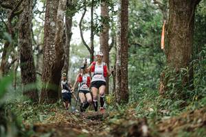 BIB: 
                            <button type="button" onclick="openModal(22523465)" class="btn btn-primary btn-sm float-right btn-popup" data-toggle="modal" data-target=".modal-high-quality">
                        <i class="fas fa-shopping-cart"></i> Add to Cart
                    </button>
                                            <button type="button" onclick="isThisMe(22523465, true)" class="btn btn-success btn-sm float-right btn-popup btn-isme hidden" data-toggle="tooltip" data-placement="bottom" title="นี่คือรูปของคุณใช่ไหม คลิกที่นี่เพื่อเอาเข้าอัลบั้ม">
                        <i class="fas fa-plus"></i> Add to album
                    </button>
                    <button type="button" onclick="isThisMe(22523465, false)" class="btn btn-warning btn-sm float-right btn-popup btn-isnotme hidden">
                        <i class="fas fa-ban"></i> Remove from album
                    </button>