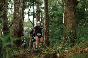 BIB: 6017
                            <button type="button" onclick="openModal(22525936)" class="btn btn-primary btn-sm float-right btn-popup" data-toggle="modal" data-target=".modal-high-quality">
                        <i class="fas fa-shopping-cart"></i> Add to Cart
                    </button>
                                            <button type="button" onclick="isThisMe(22525936, true)" class="btn btn-success btn-sm float-right btn-popup btn-isme hidden" data-toggle="tooltip" data-placement="bottom" title="นี่คือรูปของคุณใช่ไหม คลิกที่นี่เพื่อเอาเข้าอัลบั้ม">
                        <i class="fas fa-plus"></i> Add to album
                    </button>
                    <button type="button" onclick="isThisMe(22525936, false)" class="btn btn-warning btn-sm float-right btn-popup btn-isnotme hidden">
                        <i class="fas fa-ban"></i> Remove from album
                    </button>