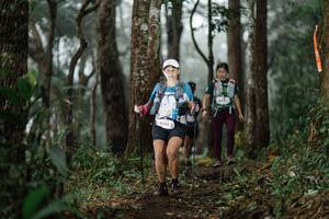 BIB: 15151
                            <button type="button" onclick="openModal(22520306)" class="btn btn-primary btn-sm float-right btn-popup" data-toggle="modal" data-target=".modal-high-quality">
                        <i class="fas fa-shopping-cart"></i> Add to Cart
                    </button>
                                            <button type="button" onclick="isThisMe(22520306, true)" class="btn btn-success btn-sm float-right btn-popup btn-isme hidden" data-toggle="tooltip" data-placement="bottom" title="นี่คือรูปของคุณใช่ไหม คลิกที่นี่เพื่อเอาเข้าอัลบั้ม">
                        <i class="fas fa-plus"></i> Add to album
                    </button>
                    <button type="button" onclick="isThisMe(22520306, false)" class="btn btn-warning btn-sm float-right btn-popup btn-isnotme hidden">
                        <i class="fas fa-ban"></i> Remove from album
                    </button>