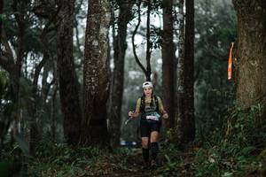 BIB: 
                            <button type="button" onclick="openModal(22519507)" class="btn btn-primary btn-sm float-right btn-popup" data-toggle="modal" data-target=".modal-high-quality">
                        <i class="fas fa-shopping-cart"></i> Add to Cart
                    </button>
                                            <button type="button" onclick="isThisMe(22519507, true)" class="btn btn-success btn-sm float-right btn-popup btn-isme hidden" data-toggle="tooltip" data-placement="bottom" title="นี่คือรูปของคุณใช่ไหม คลิกที่นี่เพื่อเอาเข้าอัลบั้ม">
                        <i class="fas fa-plus"></i> Add to album
                    </button>
                    <button type="button" onclick="isThisMe(22519507, false)" class="btn btn-warning btn-sm float-right btn-popup btn-isnotme hidden">
                        <i class="fas fa-ban"></i> Remove from album
                    </button>