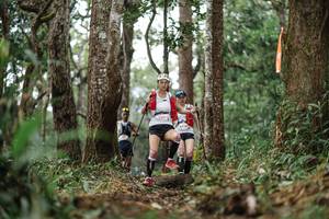 BIB: 
                            <button type="button" onclick="openModal(22523460)" class="btn btn-primary btn-sm float-right btn-popup" data-toggle="modal" data-target=".modal-high-quality">
                        <i class="fas fa-shopping-cart"></i> Add to Cart
                    </button>
                                            <button type="button" onclick="isThisMe(22523460, true)" class="btn btn-success btn-sm float-right btn-popup btn-isme hidden" data-toggle="tooltip" data-placement="bottom" title="นี่คือรูปของคุณใช่ไหม คลิกที่นี่เพื่อเอาเข้าอัลบั้ม">
                        <i class="fas fa-plus"></i> Add to album
                    </button>
                    <button type="button" onclick="isThisMe(22523460, false)" class="btn btn-warning btn-sm float-right btn-popup btn-isnotme hidden">
                        <i class="fas fa-ban"></i> Remove from album
                    </button>