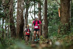 BIB: 
                            <button type="button" onclick="openModal(22522157)" class="btn btn-primary btn-sm float-right btn-popup" data-toggle="modal" data-target=".modal-high-quality">
                        <i class="fas fa-shopping-cart"></i> Add to Cart
                    </button>
                                            <button type="button" onclick="isThisMe(22522157, true)" class="btn btn-success btn-sm float-right btn-popup btn-isme hidden" data-toggle="tooltip" data-placement="bottom" title="นี่คือรูปของคุณใช่ไหม คลิกที่นี่เพื่อเอาเข้าอัลบั้ม">
                        <i class="fas fa-plus"></i> Add to album
                    </button>
                    <button type="button" onclick="isThisMe(22522157, false)" class="btn btn-warning btn-sm float-right btn-popup btn-isnotme hidden">
                        <i class="fas fa-ban"></i> Remove from album
                    </button>