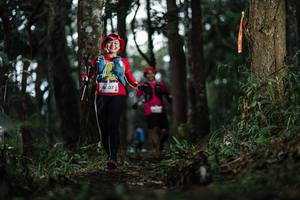 BIB: 637
                            <button type="button" onclick="openModal(22529134)" class="btn btn-primary btn-sm float-right btn-popup" data-toggle="modal" data-target=".modal-high-quality">
                        <i class="fas fa-shopping-cart"></i> Add to Cart
                    </button>
                                            <button type="button" onclick="isThisMe(22529134, true)" class="btn btn-success btn-sm float-right btn-popup btn-isme hidden" data-toggle="tooltip" data-placement="bottom" title="นี่คือรูปของคุณใช่ไหม คลิกที่นี่เพื่อเอาเข้าอัลบั้ม">
                        <i class="fas fa-plus"></i> Add to album
                    </button>
                    <button type="button" onclick="isThisMe(22529134, false)" class="btn btn-warning btn-sm float-right btn-popup btn-isnotme hidden">
                        <i class="fas fa-ban"></i> Remove from album
                    </button>