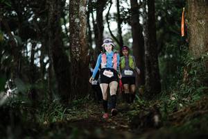 BIB: 
                            <button type="button" onclick="openModal(22528232)" class="btn btn-primary btn-sm float-right btn-popup" data-toggle="modal" data-target=".modal-high-quality">
                        <i class="fas fa-shopping-cart"></i> Add to Cart
                    </button>
                                            <button type="button" onclick="isThisMe(22528232, true)" class="btn btn-success btn-sm float-right btn-popup btn-isme hidden" data-toggle="tooltip" data-placement="bottom" title="นี่คือรูปของคุณใช่ไหม คลิกที่นี่เพื่อเอาเข้าอัลบั้ม">
                        <i class="fas fa-plus"></i> Add to album
                    </button>
                    <button type="button" onclick="isThisMe(22528232, false)" class="btn btn-warning btn-sm float-right btn-popup btn-isnotme hidden">
                        <i class="fas fa-ban"></i> Remove from album
                    </button>