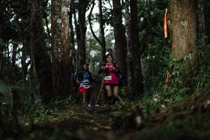 BIB: 
                            <button type="button" onclick="openModal(22528081)" class="btn btn-primary btn-sm float-right btn-popup" data-toggle="modal" data-target=".modal-high-quality">
                        <i class="fas fa-shopping-cart"></i> Add to Cart
                    </button>
                                            <button type="button" onclick="isThisMe(22528081, true)" class="btn btn-success btn-sm float-right btn-popup btn-isme hidden" data-toggle="tooltip" data-placement="bottom" title="นี่คือรูปของคุณใช่ไหม คลิกที่นี่เพื่อเอาเข้าอัลบั้ม">
                        <i class="fas fa-plus"></i> Add to album
                    </button>
                    <button type="button" onclick="isThisMe(22528081, false)" class="btn btn-warning btn-sm float-right btn-popup btn-isnotme hidden">
                        <i class="fas fa-ban"></i> Remove from album
                    </button>