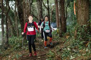 BIB: 
                            <button type="button" onclick="openModal(22524145)" class="btn btn-primary btn-sm float-right btn-popup" data-toggle="modal" data-target=".modal-high-quality">
                        <i class="fas fa-shopping-cart"></i> Add to Cart
                    </button>
                                            <button type="button" onclick="isThisMe(22524145, true)" class="btn btn-success btn-sm float-right btn-popup btn-isme hidden" data-toggle="tooltip" data-placement="bottom" title="นี่คือรูปของคุณใช่ไหม คลิกที่นี่เพื่อเอาเข้าอัลบั้ม">
                        <i class="fas fa-plus"></i> Add to album
                    </button>
                    <button type="button" onclick="isThisMe(22524145, false)" class="btn btn-warning btn-sm float-right btn-popup btn-isnotme hidden">
                        <i class="fas fa-ban"></i> Remove from album
                    </button>