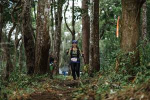 BIB: 
                            <button type="button" onclick="openModal(22524201)" class="btn btn-primary btn-sm float-right btn-popup" data-toggle="modal" data-target=".modal-high-quality">
                        <i class="fas fa-shopping-cart"></i> Add to Cart
                    </button>
                                            <button type="button" onclick="isThisMe(22524201, true)" class="btn btn-success btn-sm float-right btn-popup btn-isme hidden" data-toggle="tooltip" data-placement="bottom" title="นี่คือรูปของคุณใช่ไหม คลิกที่นี่เพื่อเอาเข้าอัลบั้ม">
                        <i class="fas fa-plus"></i> Add to album
                    </button>
                    <button type="button" onclick="isThisMe(22524201, false)" class="btn btn-warning btn-sm float-right btn-popup btn-isnotme hidden">
                        <i class="fas fa-ban"></i> Remove from album
                    </button>