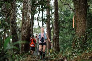 BIB: 
                            <button type="button" onclick="openModal(22523582)" class="btn btn-primary btn-sm float-right btn-popup" data-toggle="modal" data-target=".modal-high-quality">
                        <i class="fas fa-shopping-cart"></i> Add to Cart
                    </button>
                                            <button type="button" onclick="isThisMe(22523582, true)" class="btn btn-success btn-sm float-right btn-popup btn-isme hidden" data-toggle="tooltip" data-placement="bottom" title="นี่คือรูปของคุณใช่ไหม คลิกที่นี่เพื่อเอาเข้าอัลบั้ม">
                        <i class="fas fa-plus"></i> Add to album
                    </button>
                    <button type="button" onclick="isThisMe(22523582, false)" class="btn btn-warning btn-sm float-right btn-popup btn-isnotme hidden">
                        <i class="fas fa-ban"></i> Remove from album
                    </button>