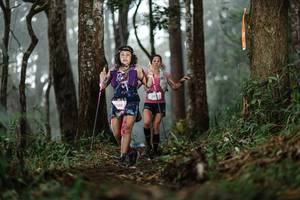 BIB: 180
                            <button type="button" onclick="openModal(22525255)" class="btn btn-primary btn-sm float-right btn-popup" data-toggle="modal" data-target=".modal-high-quality">
                        <i class="fas fa-shopping-cart"></i> Add to Cart
                    </button>
                                            <button type="button" onclick="isThisMe(22525255, true)" class="btn btn-success btn-sm float-right btn-popup btn-isme hidden" data-toggle="tooltip" data-placement="bottom" title="นี่คือรูปของคุณใช่ไหม คลิกที่นี่เพื่อเอาเข้าอัลบั้ม">
                        <i class="fas fa-plus"></i> Add to album
                    </button>
                    <button type="button" onclick="isThisMe(22525255, false)" class="btn btn-warning btn-sm float-right btn-popup btn-isnotme hidden">
                        <i class="fas fa-ban"></i> Remove from album
                    </button>