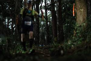 BIB: 
                            <button type="button" onclick="openModal(22528583)" class="btn btn-primary btn-sm float-right btn-popup" data-toggle="modal" data-target=".modal-high-quality">
                        <i class="fas fa-shopping-cart"></i> Add to Cart
                    </button>
                                            <button type="button" onclick="isThisMe(22528583, true)" class="btn btn-success btn-sm float-right btn-popup btn-isme hidden" data-toggle="tooltip" data-placement="bottom" title="นี่คือรูปของคุณใช่ไหม คลิกที่นี่เพื่อเอาเข้าอัลบั้ม">
                        <i class="fas fa-plus"></i> Add to album
                    </button>
                    <button type="button" onclick="isThisMe(22528583, false)" class="btn btn-warning btn-sm float-right btn-popup btn-isnotme hidden">
                        <i class="fas fa-ban"></i> Remove from album
                    </button>