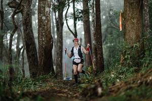 BIB: 
                            <button type="button" onclick="openModal(22525635)" class="btn btn-primary btn-sm float-right btn-popup" data-toggle="modal" data-target=".modal-high-quality">
                        <i class="fas fa-shopping-cart"></i> Add to Cart
                    </button>
                                            <button type="button" onclick="isThisMe(22525635, true)" class="btn btn-success btn-sm float-right btn-popup btn-isme hidden" data-toggle="tooltip" data-placement="bottom" title="นี่คือรูปของคุณใช่ไหม คลิกที่นี่เพื่อเอาเข้าอัลบั้ม">
                        <i class="fas fa-plus"></i> Add to album
                    </button>
                    <button type="button" onclick="isThisMe(22525635, false)" class="btn btn-warning btn-sm float-right btn-popup btn-isnotme hidden">
                        <i class="fas fa-ban"></i> Remove from album
                    </button>