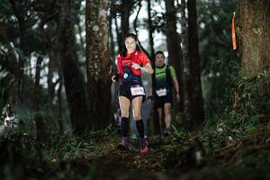 BIB: 5978, 1397
                            <button type="button" onclick="openModal(22527214)" class="btn btn-primary btn-sm float-right btn-popup" data-toggle="modal" data-target=".modal-high-quality">
                        <i class="fas fa-shopping-cart"></i> Add to Cart
                    </button>
                                            <button type="button" onclick="isThisMe(22527214, true)" class="btn btn-success btn-sm float-right btn-popup btn-isme hidden" data-toggle="tooltip" data-placement="bottom" title="นี่คือรูปของคุณใช่ไหม คลิกที่นี่เพื่อเอาเข้าอัลบั้ม">
                        <i class="fas fa-plus"></i> Add to album
                    </button>
                    <button type="button" onclick="isThisMe(22527214, false)" class="btn btn-warning btn-sm float-right btn-popup btn-isnotme hidden">
                        <i class="fas fa-ban"></i> Remove from album
                    </button>