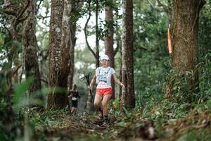 BIB: 12909
                            <button type="button" onclick="openModal(22522522)" class="btn btn-primary btn-sm float-right btn-popup" data-toggle="modal" data-target=".modal-high-quality">
                        <i class="fas fa-shopping-cart"></i> Add to Cart
                    </button>
                                            <button type="button" onclick="isThisMe(22522522, true)" class="btn btn-success btn-sm float-right btn-popup btn-isme hidden" data-toggle="tooltip" data-placement="bottom" title="นี่คือรูปของคุณใช่ไหม คลิกที่นี่เพื่อเอาเข้าอัลบั้ม">
                        <i class="fas fa-plus"></i> Add to album
                    </button>
                    <button type="button" onclick="isThisMe(22522522, false)" class="btn btn-warning btn-sm float-right btn-popup btn-isnotme hidden">
                        <i class="fas fa-ban"></i> Remove from album
                    </button>