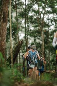 BIB: 9230
                            <button type="button" onclick="openModal(22403738)" class="btn btn-primary btn-sm float-right btn-popup" data-toggle="modal" data-target=".modal-high-quality">
                        <i class="fas fa-shopping-cart"></i> Add to Cart
                    </button>
                                            <button type="button" onclick="isThisMe(22403738, true)" class="btn btn-success btn-sm float-right btn-popup btn-isme hidden" data-toggle="tooltip" data-placement="bottom" title="นี่คือรูปของคุณใช่ไหม คลิกที่นี่เพื่อเอาเข้าอัลบั้ม">
                        <i class="fas fa-plus"></i> Add to album
                    </button>
                    <button type="button" onclick="isThisMe(22403738, false)" class="btn btn-warning btn-sm float-right btn-popup btn-isnotme hidden">
                        <i class="fas fa-ban"></i> Remove from album
                    </button>