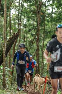 BIB: 5736, 6419
                            <button type="button" onclick="openModal(22418280)" class="btn btn-primary btn-sm float-right btn-popup" data-toggle="modal" data-target=".modal-high-quality">
                        <i class="fas fa-shopping-cart"></i> Add to Cart
                    </button>
                                            <button type="button" onclick="isThisMe(22418280, true)" class="btn btn-success btn-sm float-right btn-popup btn-isme hidden" data-toggle="tooltip" data-placement="bottom" title="นี่คือรูปของคุณใช่ไหม คลิกที่นี่เพื่อเอาเข้าอัลบั้ม">
                        <i class="fas fa-plus"></i> Add to album
                    </button>
                    <button type="button" onclick="isThisMe(22418280, false)" class="btn btn-warning btn-sm float-right btn-popup btn-isnotme hidden">
                        <i class="fas fa-ban"></i> Remove from album
                    </button>