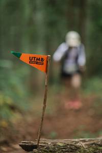 BIB: 
                            <button type="button" onclick="openModal(22566468)" class="btn btn-primary btn-sm float-right btn-popup" data-toggle="modal" data-target=".modal-high-quality">
                        <i class="fas fa-shopping-cart"></i> Add to Cart
                    </button>
                                            <button type="button" onclick="isThisMe(22566468, true)" class="btn btn-success btn-sm float-right btn-popup btn-isme hidden" data-toggle="tooltip" data-placement="bottom" title="นี่คือรูปของคุณใช่ไหม คลิกที่นี่เพื่อเอาเข้าอัลบั้ม">
                        <i class="fas fa-plus"></i> Add to album
                    </button>
                    <button type="button" onclick="isThisMe(22566468, false)" class="btn btn-warning btn-sm float-right btn-popup btn-isnotme hidden">
                        <i class="fas fa-ban"></i> Remove from album
                    </button>