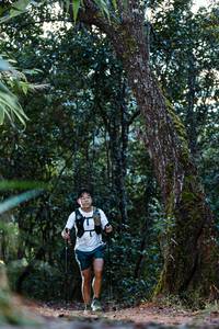 BIB: 
                            <button type="button" onclick="openModal(22294165)" class="btn btn-primary btn-sm float-right btn-popup" data-toggle="modal" data-target=".modal-high-quality">
                        <i class="fas fa-shopping-cart"></i> Add to Cart
                    </button>
                                            <button type="button" onclick="isThisMe(22294165, true)" class="btn btn-success btn-sm float-right btn-popup btn-isme hidden" data-toggle="tooltip" data-placement="bottom" title="นี่คือรูปของคุณใช่ไหม คลิกที่นี่เพื่อเอาเข้าอัลบั้ม">
                        <i class="fas fa-plus"></i> Add to album
                    </button>
                    <button type="button" onclick="isThisMe(22294165, false)" class="btn btn-warning btn-sm float-right btn-popup btn-isnotme hidden">
                        <i class="fas fa-ban"></i> Remove from album
                    </button>