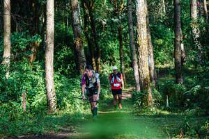 BIB: 
                            <button type="button" onclick="openModal(22378865)" class="btn btn-primary btn-sm float-right btn-popup" data-toggle="modal" data-target=".modal-high-quality">
                        <i class="fas fa-shopping-cart"></i> Add to Cart
                    </button>
                                            <button type="button" onclick="isThisMe(22378865, true)" class="btn btn-success btn-sm float-right btn-popup btn-isme hidden" data-toggle="tooltip" data-placement="bottom" title="นี่คือรูปของคุณใช่ไหม คลิกที่นี่เพื่อเอาเข้าอัลบั้ม">
                        <i class="fas fa-plus"></i> Add to album
                    </button>
                    <button type="button" onclick="isThisMe(22378865, false)" class="btn btn-warning btn-sm float-right btn-popup btn-isnotme hidden">
                        <i class="fas fa-ban"></i> Remove from album
                    </button>