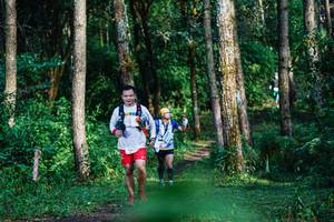 BIB: 
                            <button type="button" onclick="openModal(22378988)" class="btn btn-primary btn-sm float-right btn-popup" data-toggle="modal" data-target=".modal-high-quality">
                        <i class="fas fa-shopping-cart"></i> Add to Cart
                    </button>
                                            <button type="button" onclick="isThisMe(22378988, true)" class="btn btn-success btn-sm float-right btn-popup btn-isme hidden" data-toggle="tooltip" data-placement="bottom" title="นี่คือรูปของคุณใช่ไหม คลิกที่นี่เพื่อเอาเข้าอัลบั้ม">
                        <i class="fas fa-plus"></i> Add to album
                    </button>
                    <button type="button" onclick="isThisMe(22378988, false)" class="btn btn-warning btn-sm float-right btn-popup btn-isnotme hidden">
                        <i class="fas fa-ban"></i> Remove from album
                    </button>