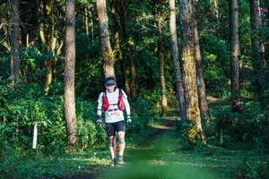 BIB: 
                            <button type="button" onclick="openModal(22379915)" class="btn btn-primary btn-sm float-right btn-popup" data-toggle="modal" data-target=".modal-high-quality">
                        <i class="fas fa-shopping-cart"></i> Add to Cart
                    </button>
                                            <button type="button" onclick="isThisMe(22379915, true)" class="btn btn-success btn-sm float-right btn-popup btn-isme hidden" data-toggle="tooltip" data-placement="bottom" title="นี่คือรูปของคุณใช่ไหม คลิกที่นี่เพื่อเอาเข้าอัลบั้ม">
                        <i class="fas fa-plus"></i> Add to album
                    </button>
                    <button type="button" onclick="isThisMe(22379915, false)" class="btn btn-warning btn-sm float-right btn-popup btn-isnotme hidden">
                        <i class="fas fa-ban"></i> Remove from album
                    </button>