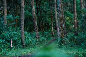 BIB: 
                            <button type="button" onclick="openModal(22380073)" class="btn btn-primary btn-sm float-right btn-popup" data-toggle="modal" data-target=".modal-high-quality">
                        <i class="fas fa-shopping-cart"></i> Add to Cart
                    </button>
                                            <button type="button" onclick="isThisMe(22380073, true)" class="btn btn-success btn-sm float-right btn-popup btn-isme hidden" data-toggle="tooltip" data-placement="bottom" title="นี่คือรูปของคุณใช่ไหม คลิกที่นี่เพื่อเอาเข้าอัลบั้ม">
                        <i class="fas fa-plus"></i> Add to album
                    </button>
                    <button type="button" onclick="isThisMe(22380073, false)" class="btn btn-warning btn-sm float-right btn-popup btn-isnotme hidden">
                        <i class="fas fa-ban"></i> Remove from album
                    </button>