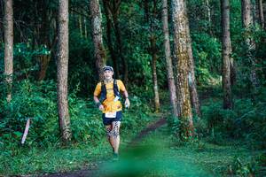 BIB: 
                            <button type="button" onclick="openModal(22379252)" class="btn btn-primary btn-sm float-right btn-popup" data-toggle="modal" data-target=".modal-high-quality">
                        <i class="fas fa-shopping-cart"></i> Add to Cart
                    </button>
                                            <button type="button" onclick="isThisMe(22379252, true)" class="btn btn-success btn-sm float-right btn-popup btn-isme hidden" data-toggle="tooltip" data-placement="bottom" title="นี่คือรูปของคุณใช่ไหม คลิกที่นี่เพื่อเอาเข้าอัลบั้ม">
                        <i class="fas fa-plus"></i> Add to album
                    </button>
                    <button type="button" onclick="isThisMe(22379252, false)" class="btn btn-warning btn-sm float-right btn-popup btn-isnotme hidden">
                        <i class="fas fa-ban"></i> Remove from album
                    </button>