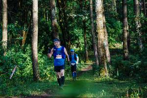 BIB: 5070
                            <button type="button" onclick="openModal(22379135)" class="btn btn-primary btn-sm float-right btn-popup" data-toggle="modal" data-target=".modal-high-quality">
                        <i class="fas fa-shopping-cart"></i> Add to Cart
                    </button>
                                            <button type="button" onclick="isThisMe(22379135, true)" class="btn btn-success btn-sm float-right btn-popup btn-isme hidden" data-toggle="tooltip" data-placement="bottom" title="นี่คือรูปของคุณใช่ไหม คลิกที่นี่เพื่อเอาเข้าอัลบั้ม">
                        <i class="fas fa-plus"></i> Add to album
                    </button>
                    <button type="button" onclick="isThisMe(22379135, false)" class="btn btn-warning btn-sm float-right btn-popup btn-isnotme hidden">
                        <i class="fas fa-ban"></i> Remove from album
                    </button>