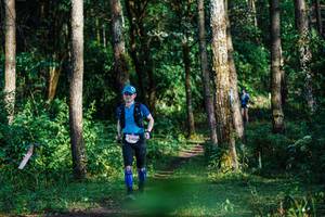 BIB: 81822
                            <button type="button" onclick="openModal(22379146)" class="btn btn-primary btn-sm float-right btn-popup" data-toggle="modal" data-target=".modal-high-quality">
                        <i class="fas fa-shopping-cart"></i> Add to Cart
                    </button>
                                            <button type="button" onclick="isThisMe(22379146, true)" class="btn btn-success btn-sm float-right btn-popup btn-isme hidden" data-toggle="tooltip" data-placement="bottom" title="นี่คือรูปของคุณใช่ไหม คลิกที่นี่เพื่อเอาเข้าอัลบั้ม">
                        <i class="fas fa-plus"></i> Add to album
                    </button>
                    <button type="button" onclick="isThisMe(22379146, false)" class="btn btn-warning btn-sm float-right btn-popup btn-isnotme hidden">
                        <i class="fas fa-ban"></i> Remove from album
                    </button>