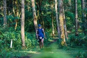 BIB: 
                            <button type="button" onclick="openModal(22379934)" class="btn btn-primary btn-sm float-right btn-popup" data-toggle="modal" data-target=".modal-high-quality">
                        <i class="fas fa-shopping-cart"></i> Add to Cart
                    </button>
                                            <button type="button" onclick="isThisMe(22379934, true)" class="btn btn-success btn-sm float-right btn-popup btn-isme hidden" data-toggle="tooltip" data-placement="bottom" title="นี่คือรูปของคุณใช่ไหม คลิกที่นี่เพื่อเอาเข้าอัลบั้ม">
                        <i class="fas fa-plus"></i> Add to album
                    </button>
                    <button type="button" onclick="isThisMe(22379934, false)" class="btn btn-warning btn-sm float-right btn-popup btn-isnotme hidden">
                        <i class="fas fa-ban"></i> Remove from album
                    </button>