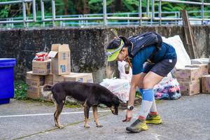 BIB: 
                            <button type="button" onclick="openModal(22470667)" class="btn btn-primary btn-sm float-right btn-popup" data-toggle="modal" data-target=".modal-high-quality">
                        <i class="fas fa-shopping-cart"></i> Add to Cart
                    </button>
                                            <button type="button" onclick="isThisMe(22470667, true)" class="btn btn-success btn-sm float-right btn-popup btn-isme hidden" data-toggle="tooltip" data-placement="bottom" title="นี่คือรูปของคุณใช่ไหม คลิกที่นี่เพื่อเอาเข้าอัลบั้ม">
                        <i class="fas fa-plus"></i> Add to album
                    </button>
                    <button type="button" onclick="isThisMe(22470667, false)" class="btn btn-warning btn-sm float-right btn-popup btn-isnotme hidden">
                        <i class="fas fa-ban"></i> Remove from album
                    </button>