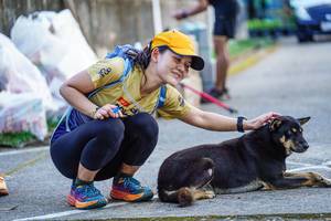 BIB: 
                            <button type="button" onclick="openModal(22470061)" class="btn btn-primary btn-sm float-right btn-popup" data-toggle="modal" data-target=".modal-high-quality">
                        <i class="fas fa-shopping-cart"></i> Add to Cart
                    </button>
                                            <button type="button" onclick="isThisMe(22470061, true)" class="btn btn-success btn-sm float-right btn-popup btn-isme hidden" data-toggle="tooltip" data-placement="bottom" title="นี่คือรูปของคุณใช่ไหม คลิกที่นี่เพื่อเอาเข้าอัลบั้ม">
                        <i class="fas fa-plus"></i> Add to album
                    </button>
                    <button type="button" onclick="isThisMe(22470061, false)" class="btn btn-warning btn-sm float-right btn-popup btn-isnotme hidden">
                        <i class="fas fa-ban"></i> Remove from album
                    </button>