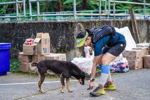 BIB: 200, 202
                            <button type="button" onclick="openModal(22470674)" class="btn btn-primary btn-sm float-right btn-popup" data-toggle="modal" data-target=".modal-high-quality">
                        <i class="fas fa-shopping-cart"></i> Add to Cart
                    </button>
                                            <button type="button" onclick="isThisMe(22470674, true)" class="btn btn-success btn-sm float-right btn-popup btn-isme hidden" data-toggle="tooltip" data-placement="bottom" title="นี่คือรูปของคุณใช่ไหม คลิกที่นี่เพื่อเอาเข้าอัลบั้ม">
                        <i class="fas fa-plus"></i> Add to album
                    </button>
                    <button type="button" onclick="isThisMe(22470674, false)" class="btn btn-warning btn-sm float-right btn-popup btn-isnotme hidden">
                        <i class="fas fa-ban"></i> Remove from album
                    </button>